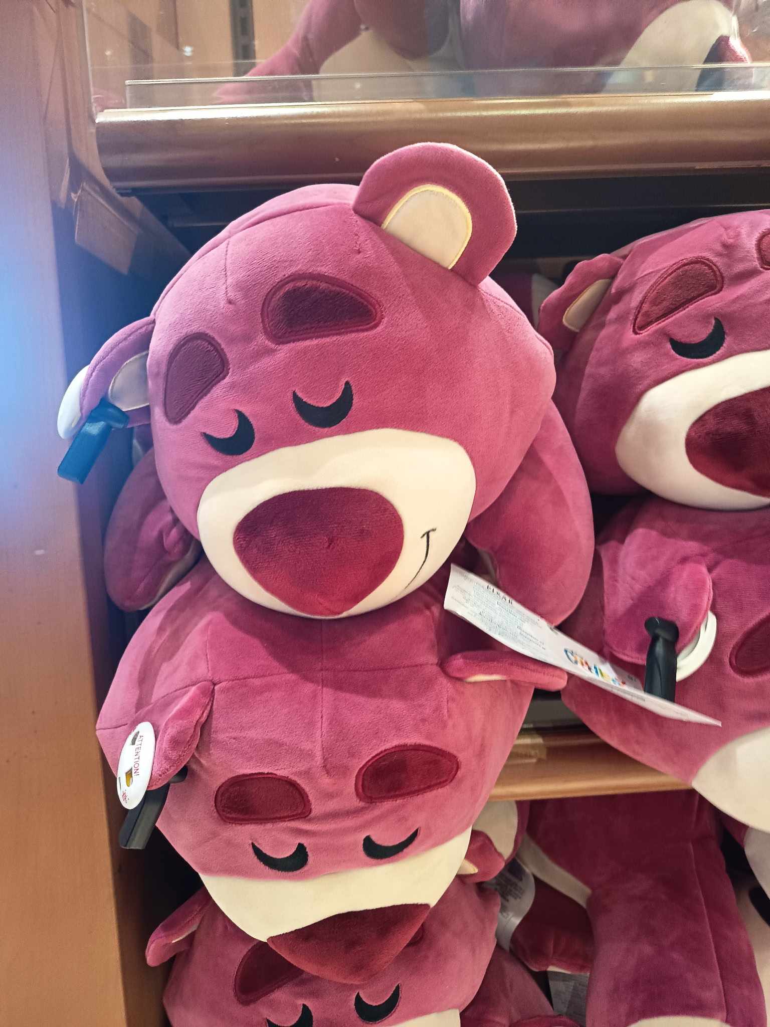 Cudleez Lotso