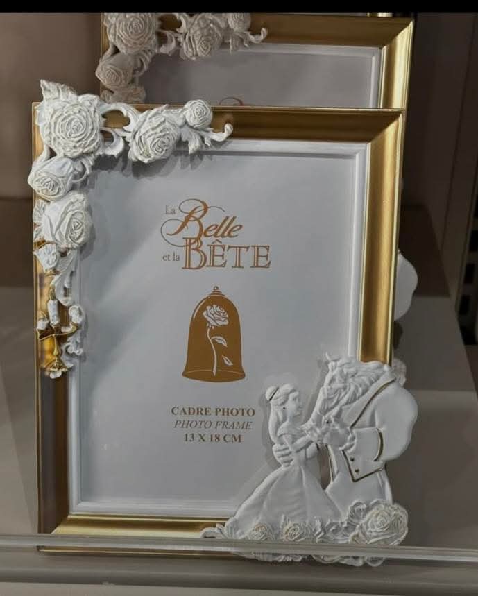 Cadre photo Belle et la Bête