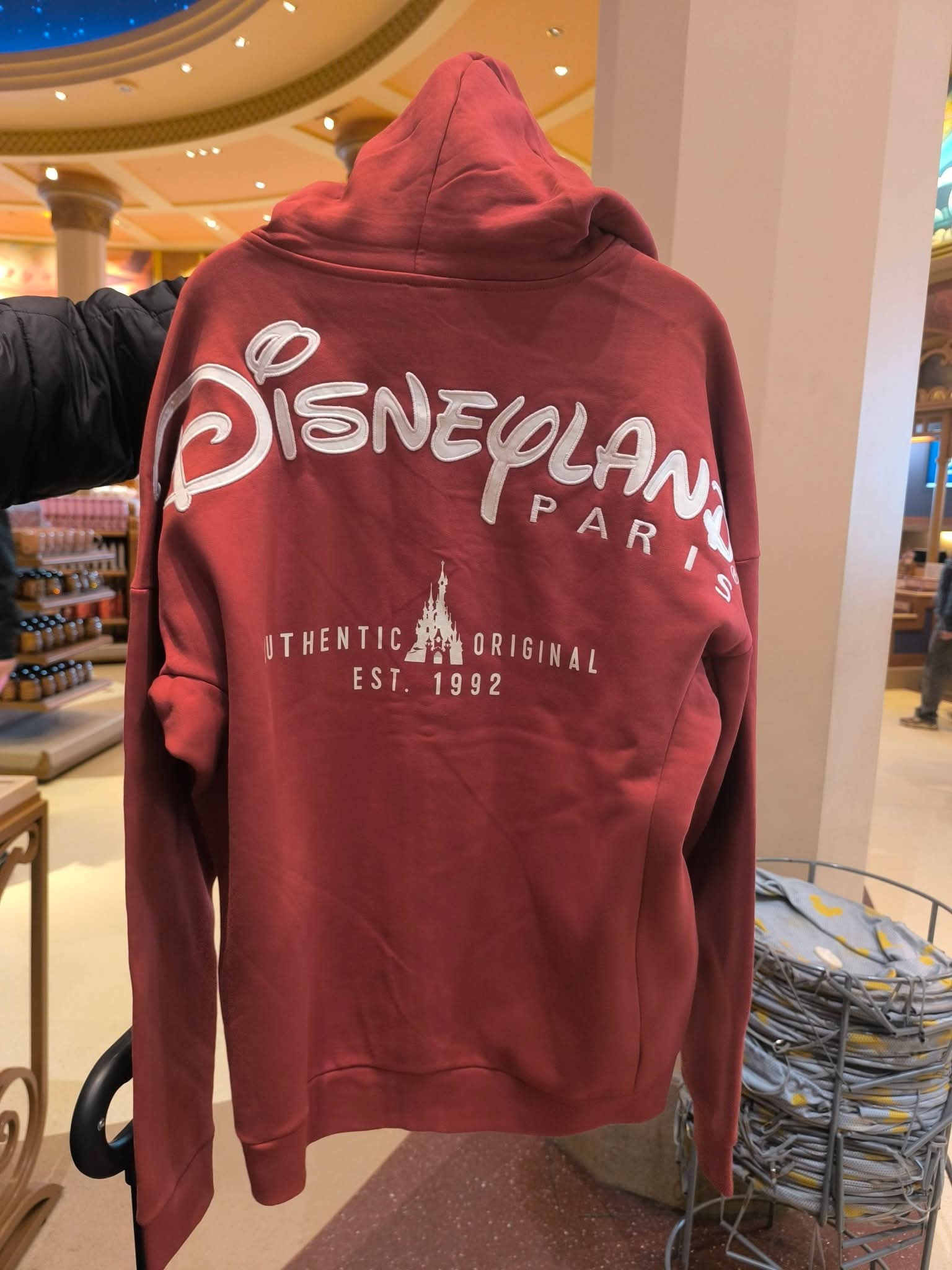 Gilet Disneyland Paris