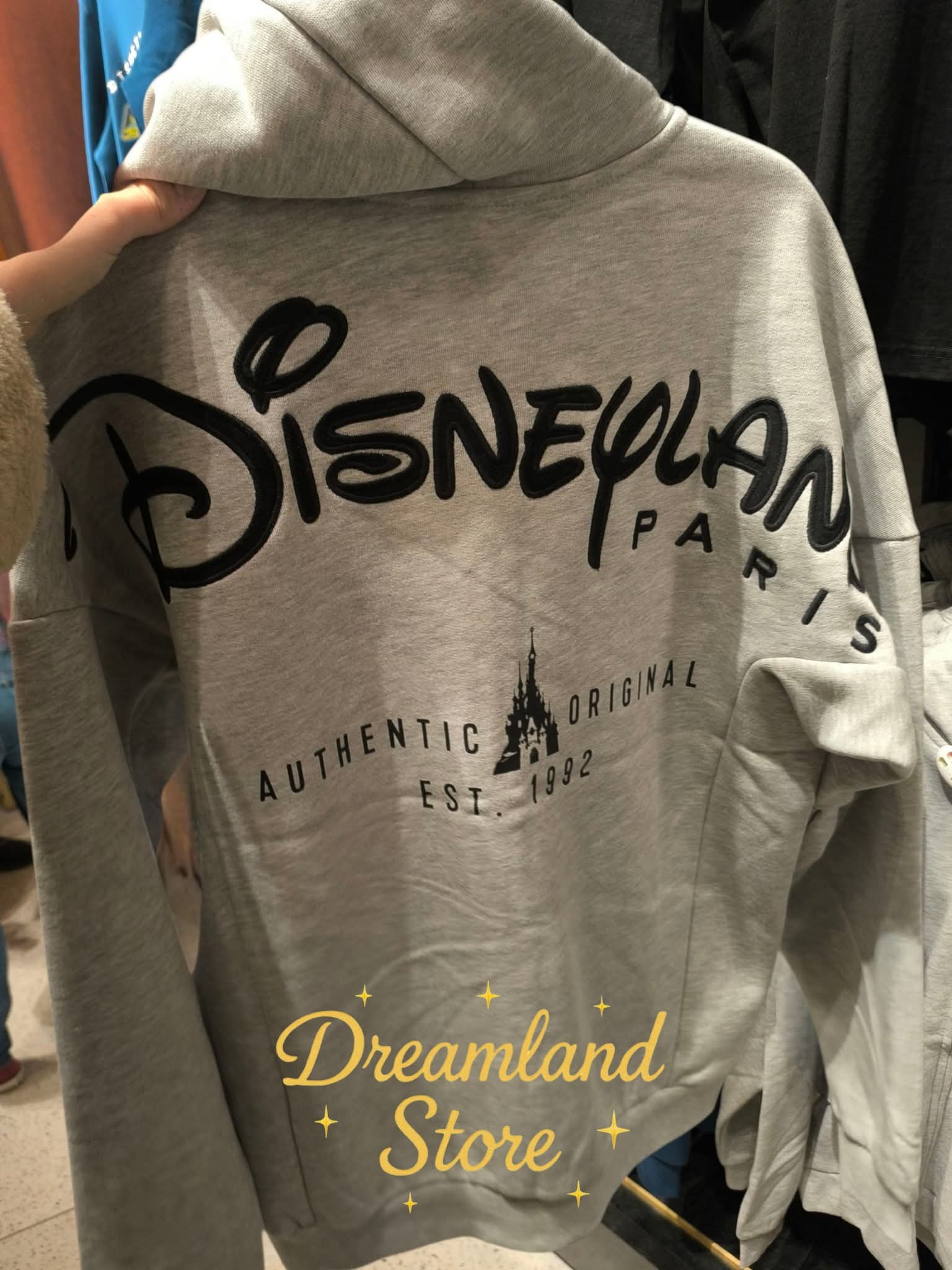 Gilet Disneyland Paris