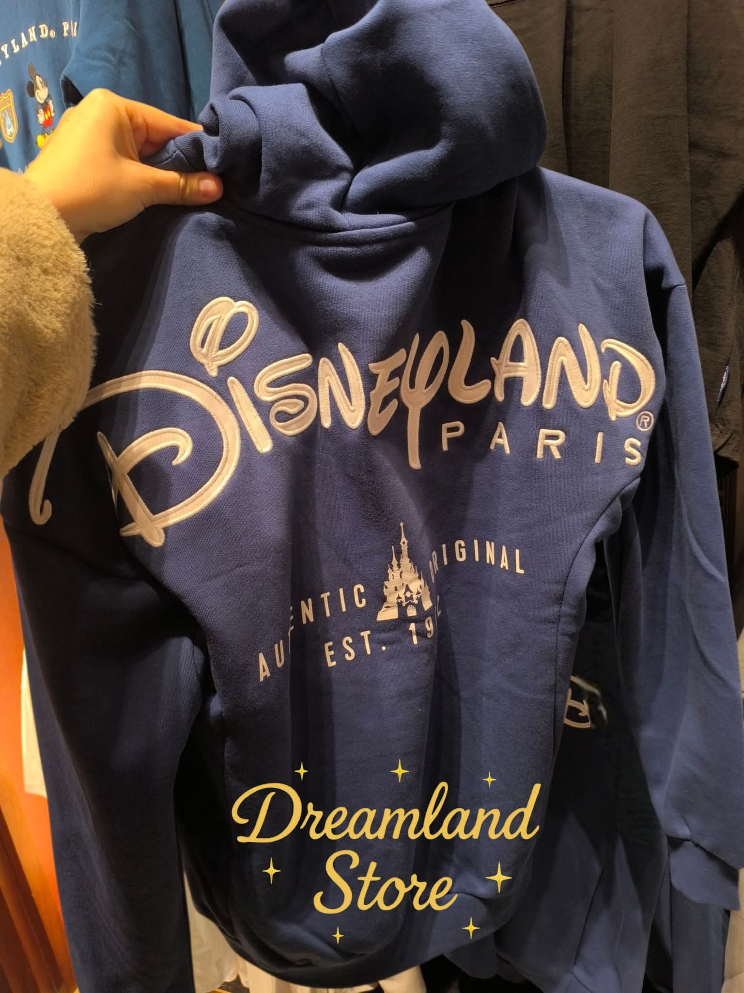 Gilet Disneyland Paris