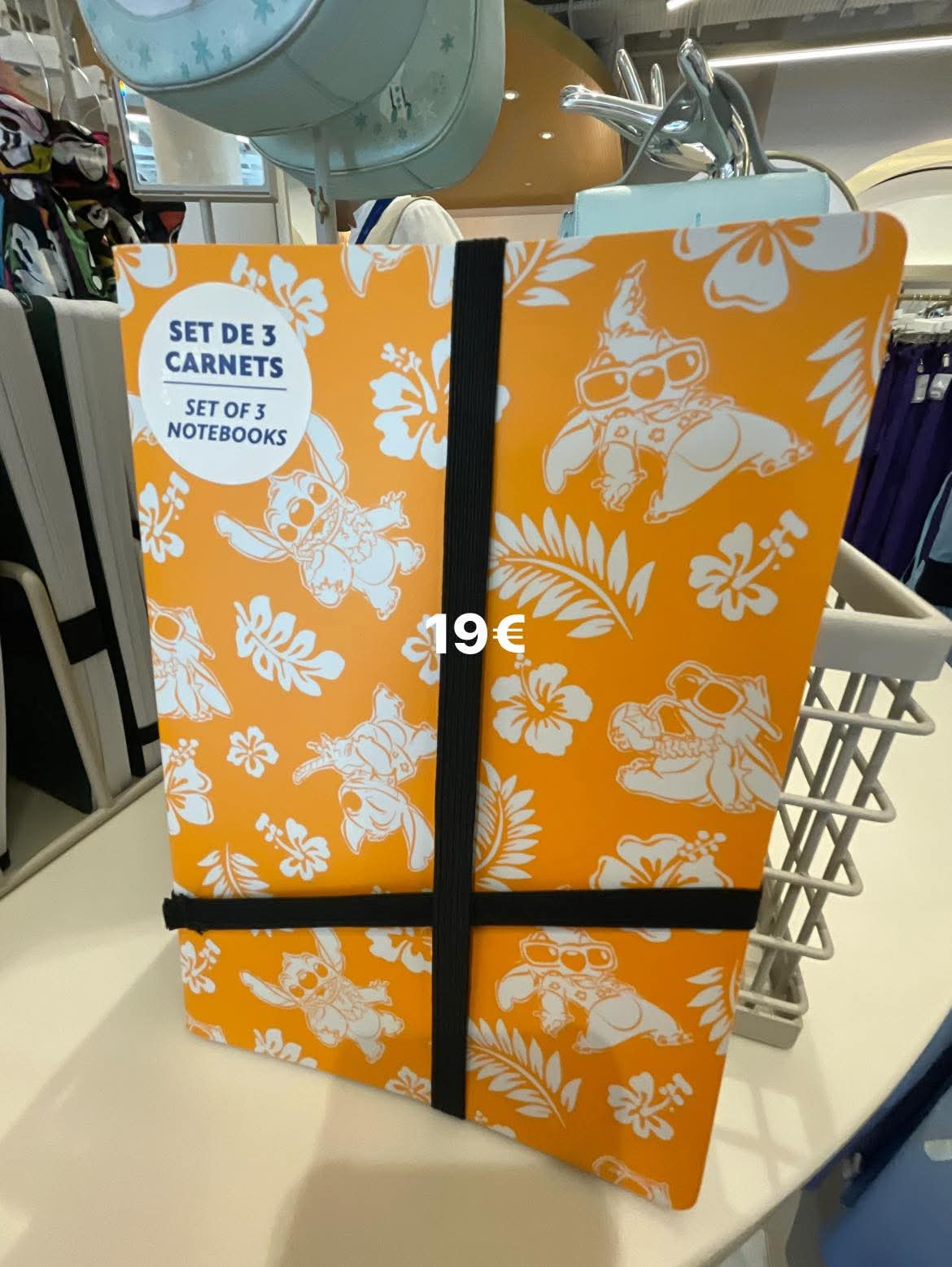 Lot de carnet Stitch