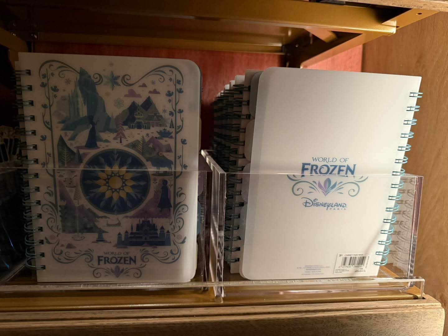 Carnet Reine des Neiges