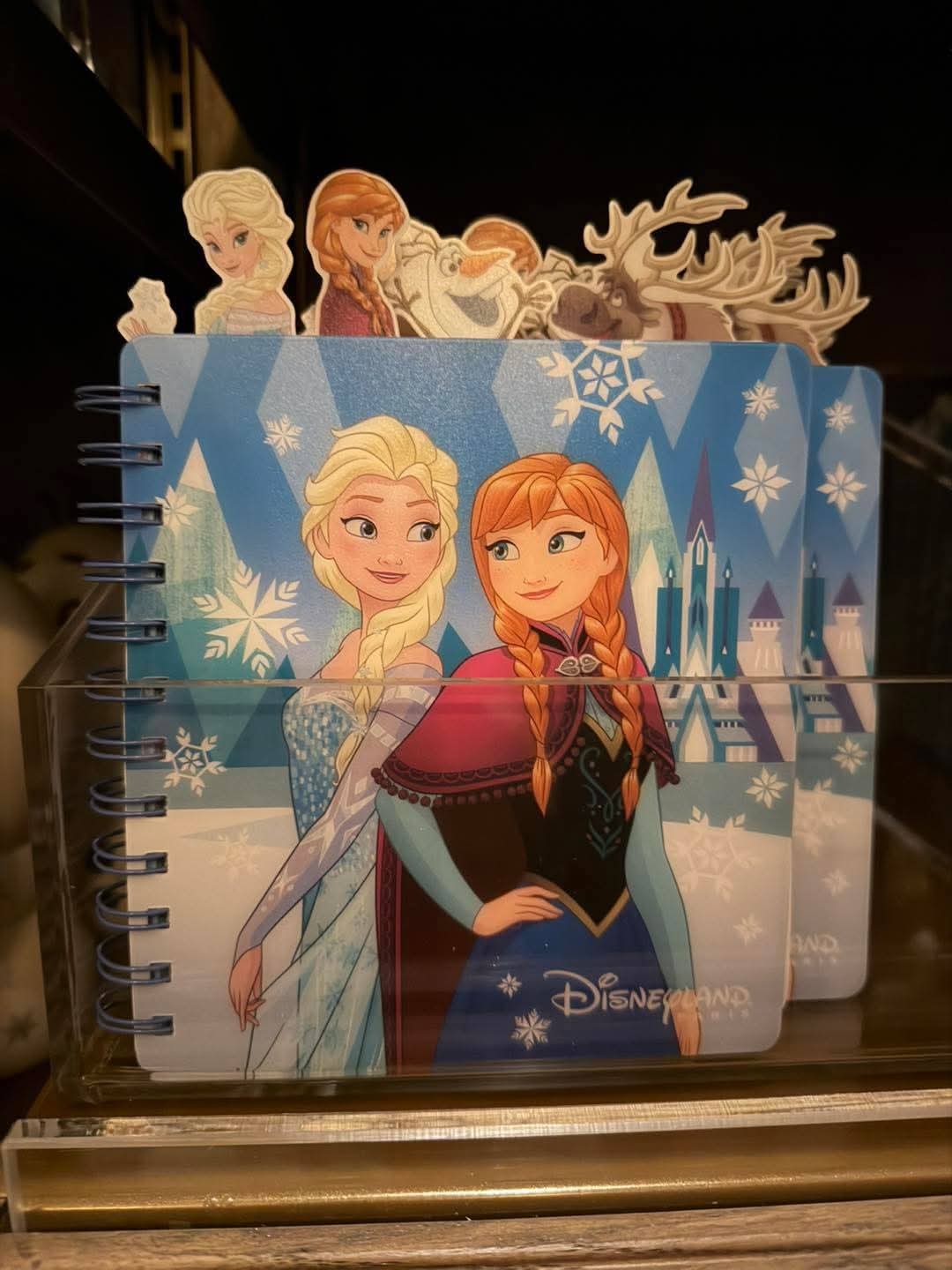 Carnet Reine des Neiges
