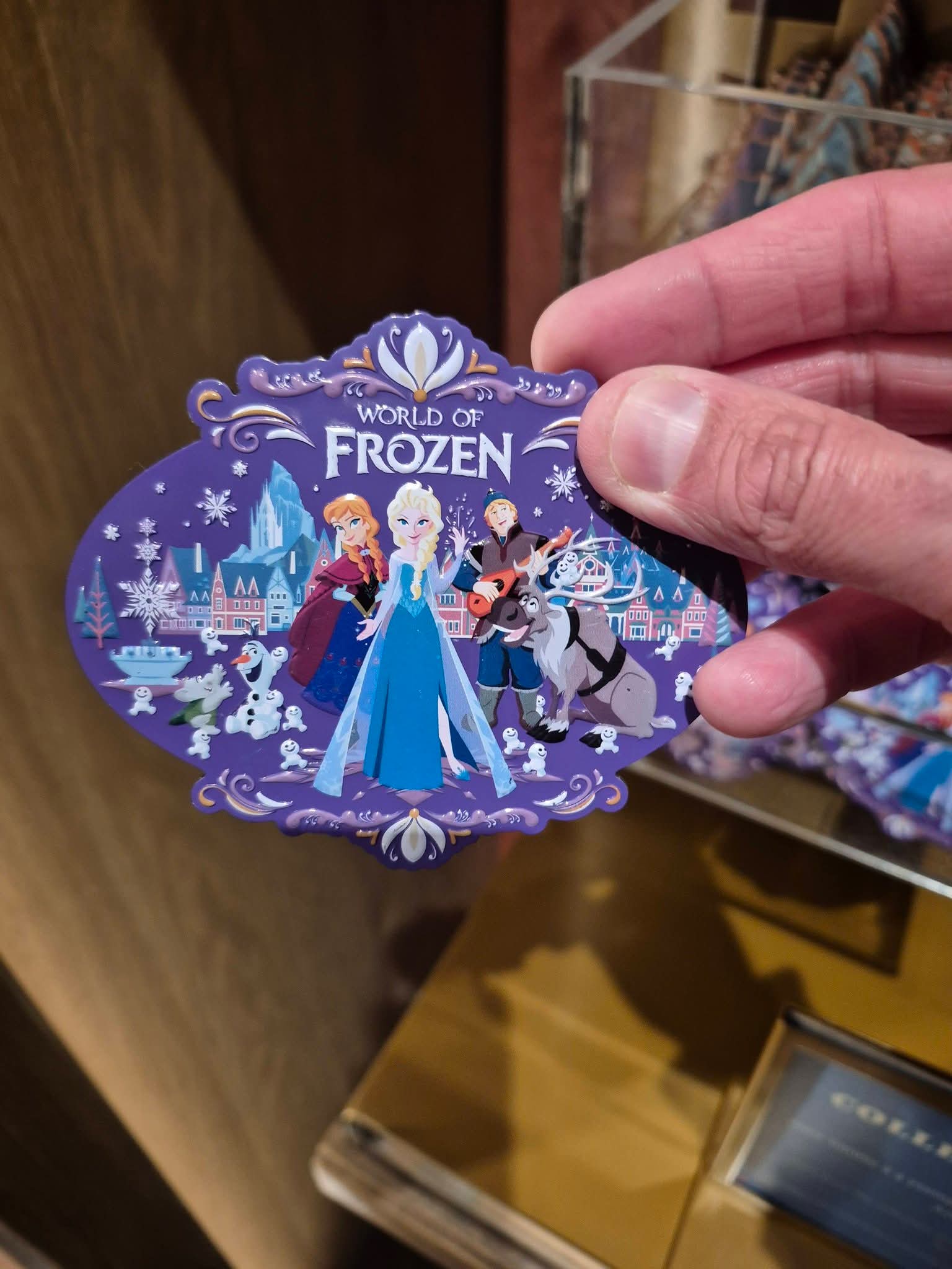 Magnet World of Frozen