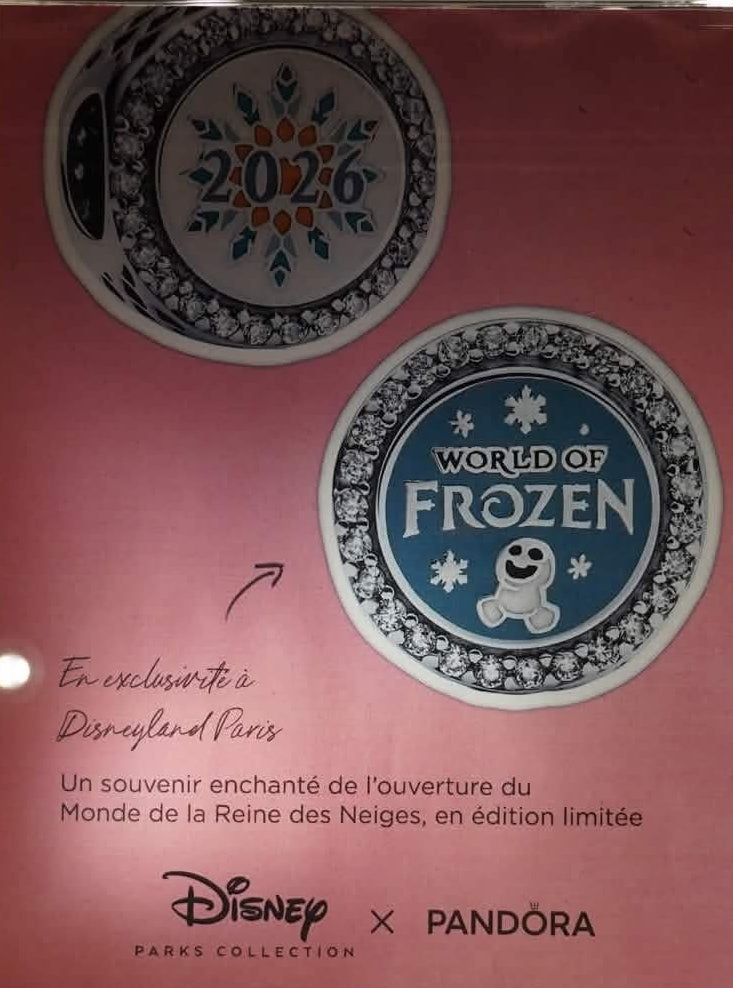 Charms World of Frozen