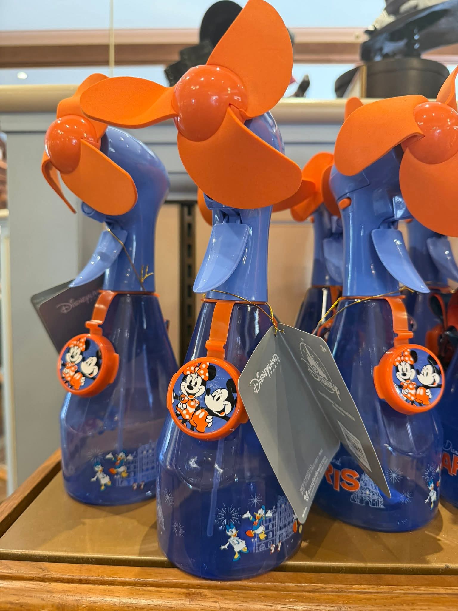 Brumatisateur Disneyland Paris