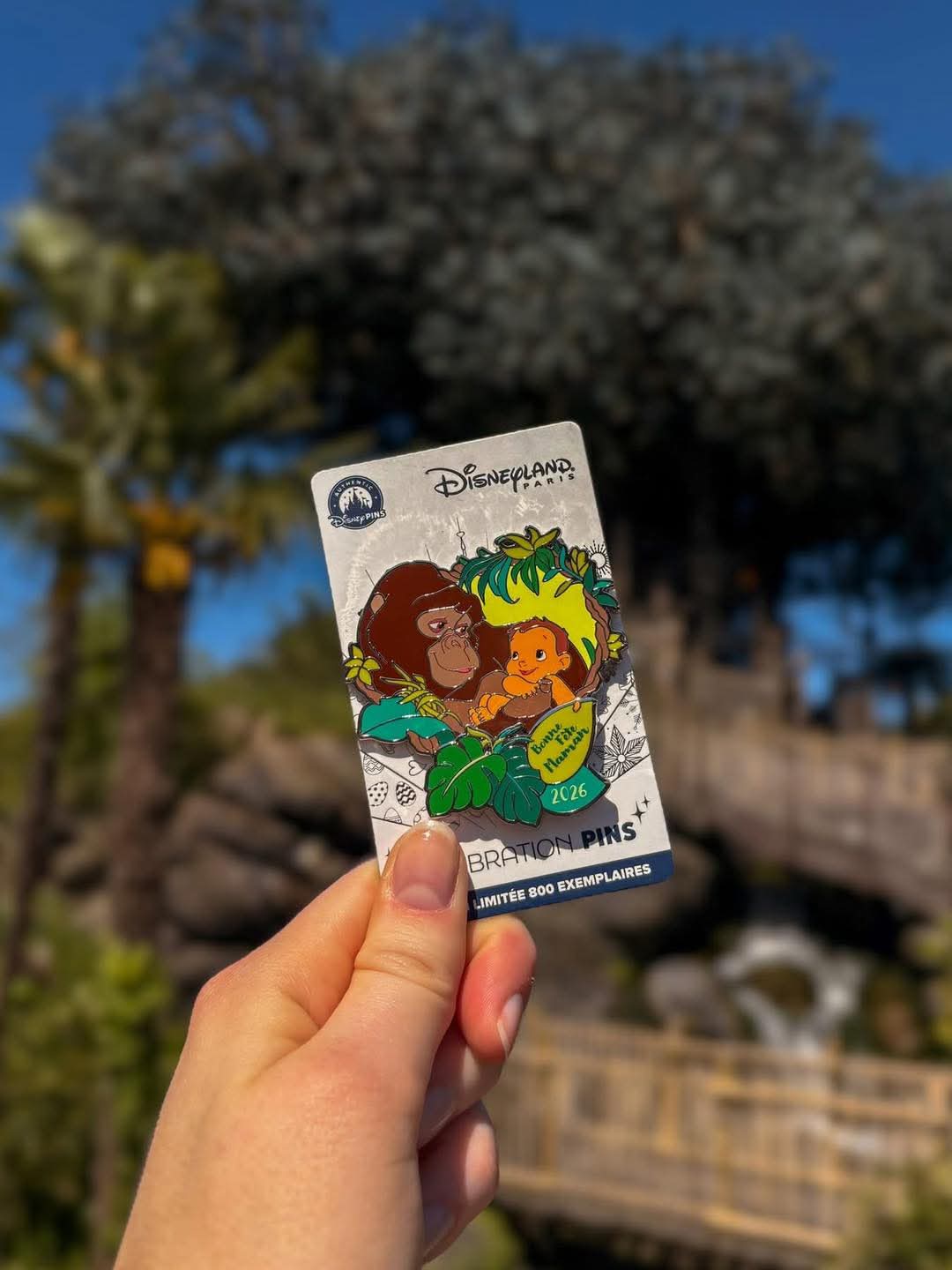 Pins Tarzan Édition Limitée