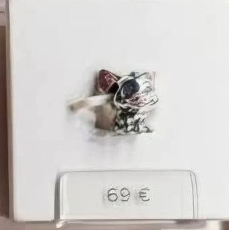 Charms Pua