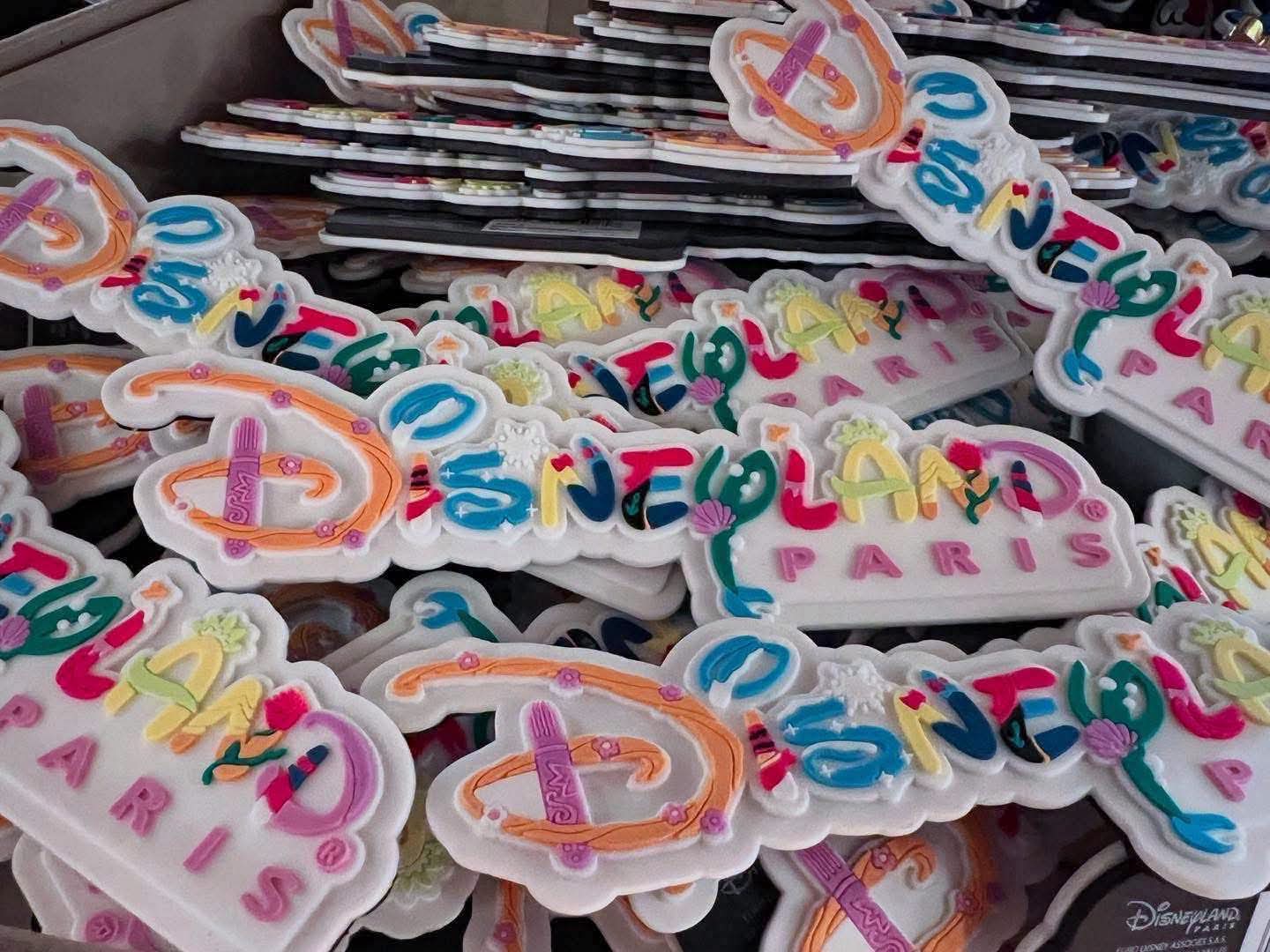 Magnet Disneyland Paris Princesse