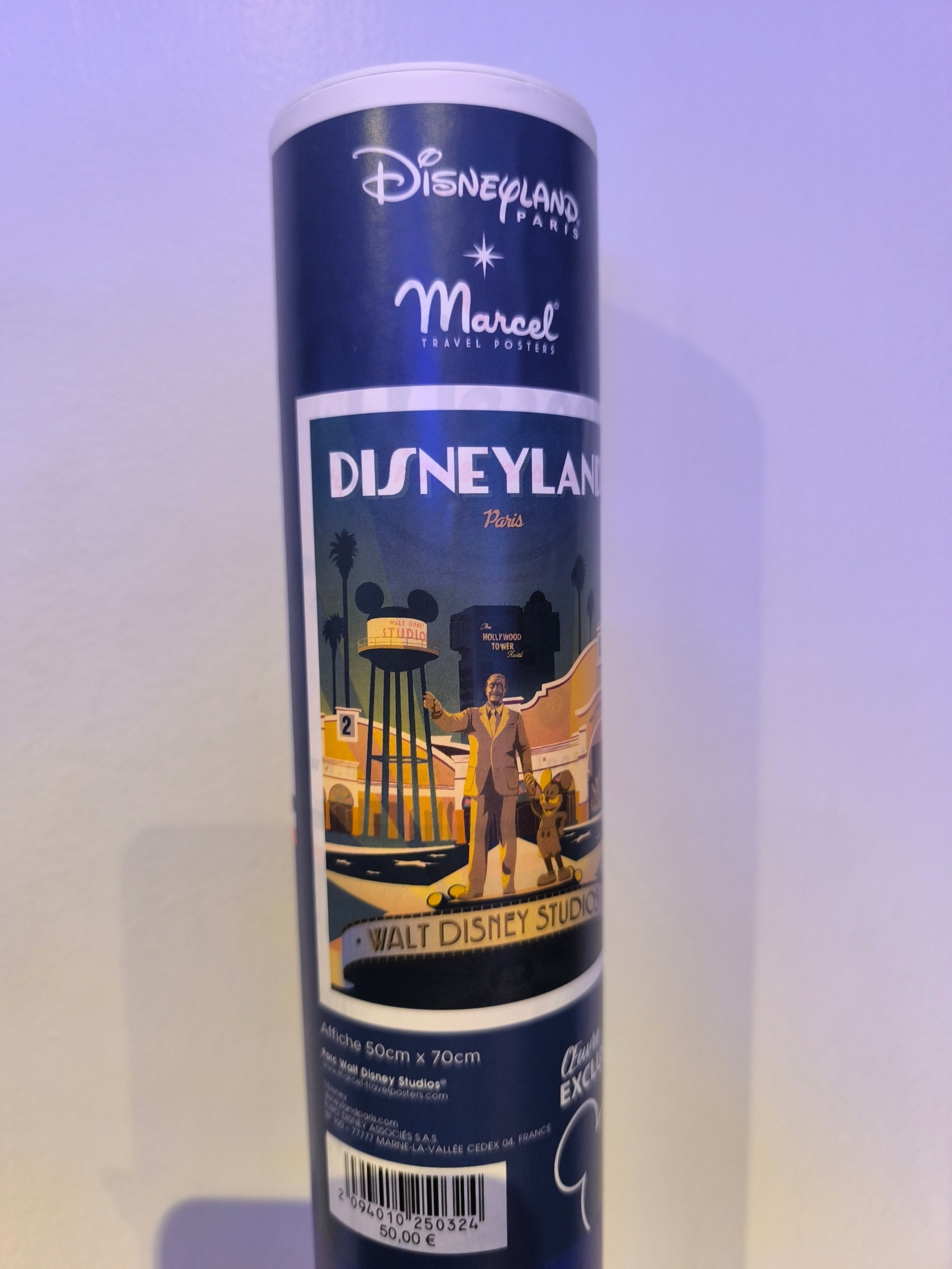 Poster Walt Disney Studios