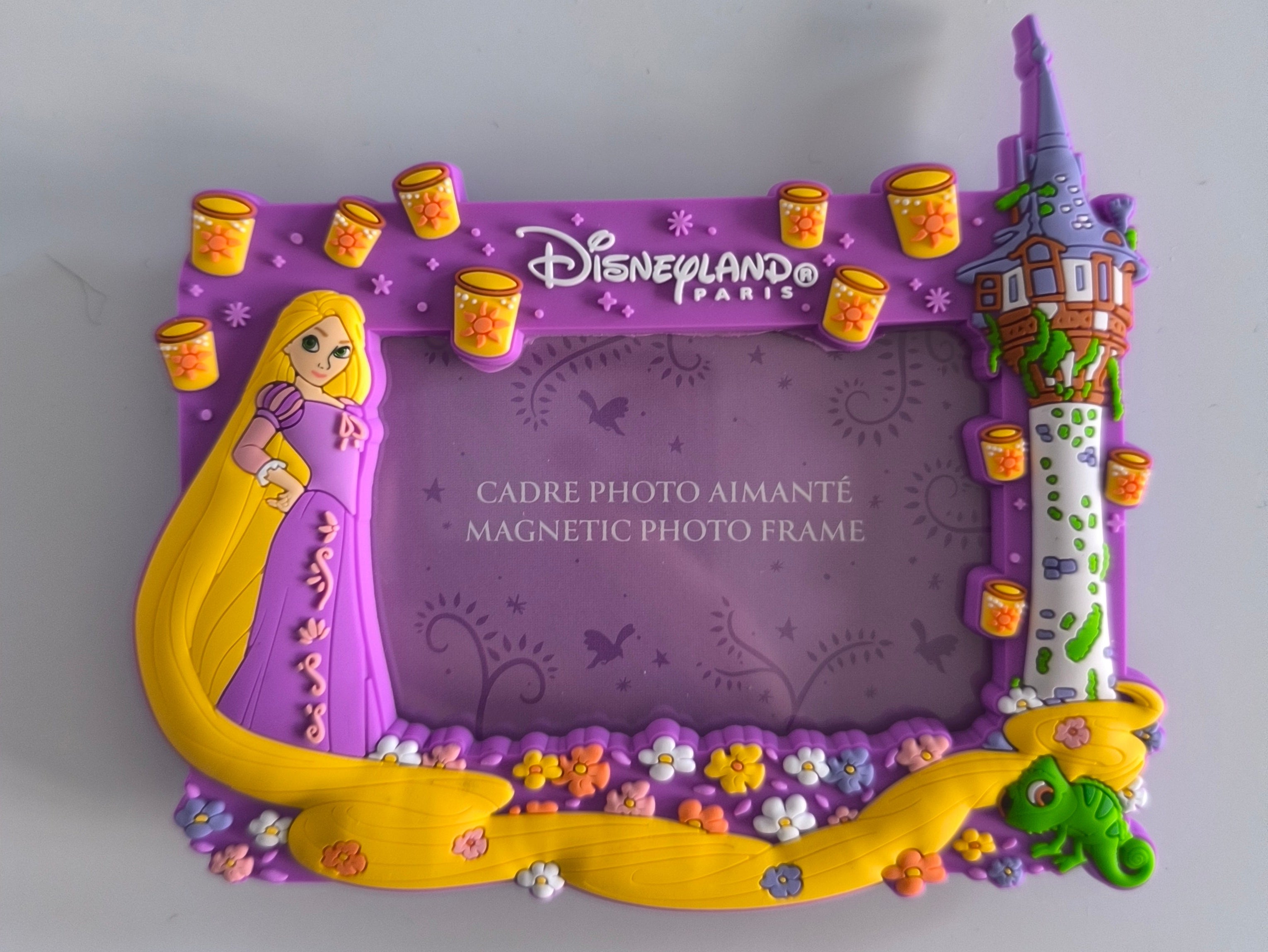 Magnet cadre Raiponce