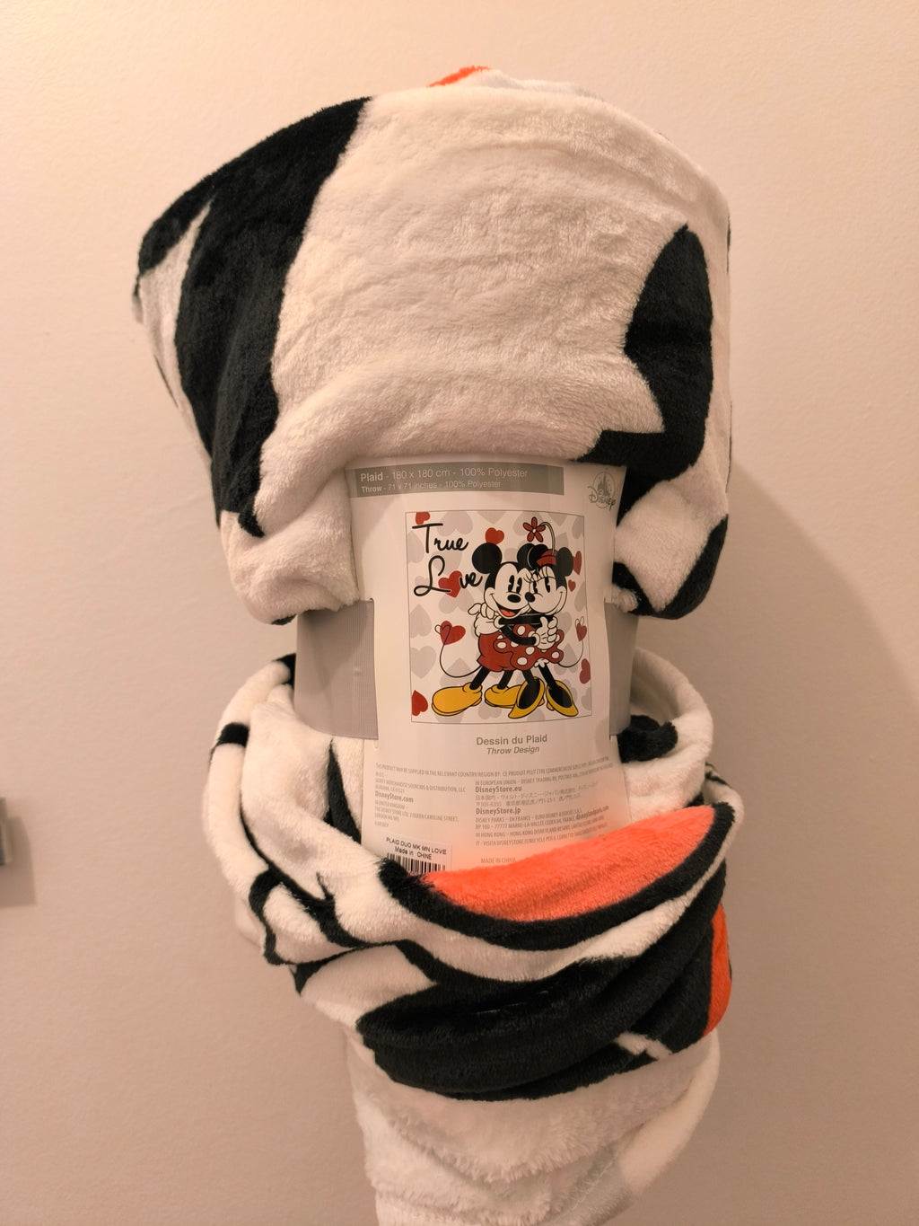 Plaid Mickey Minnie