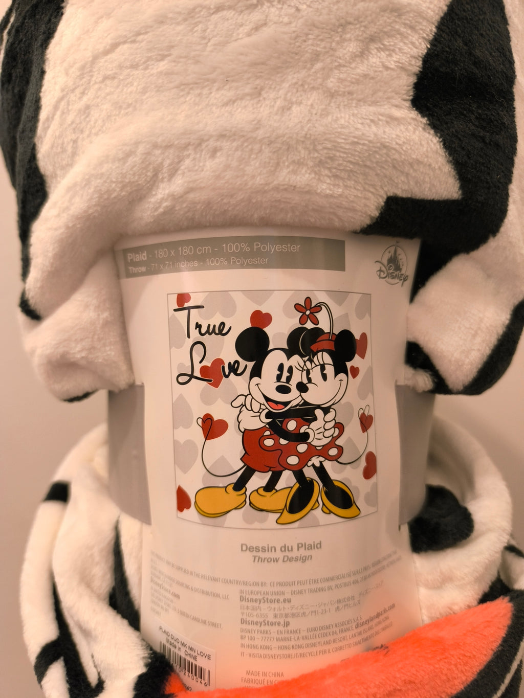Plaid Mickey Minnie