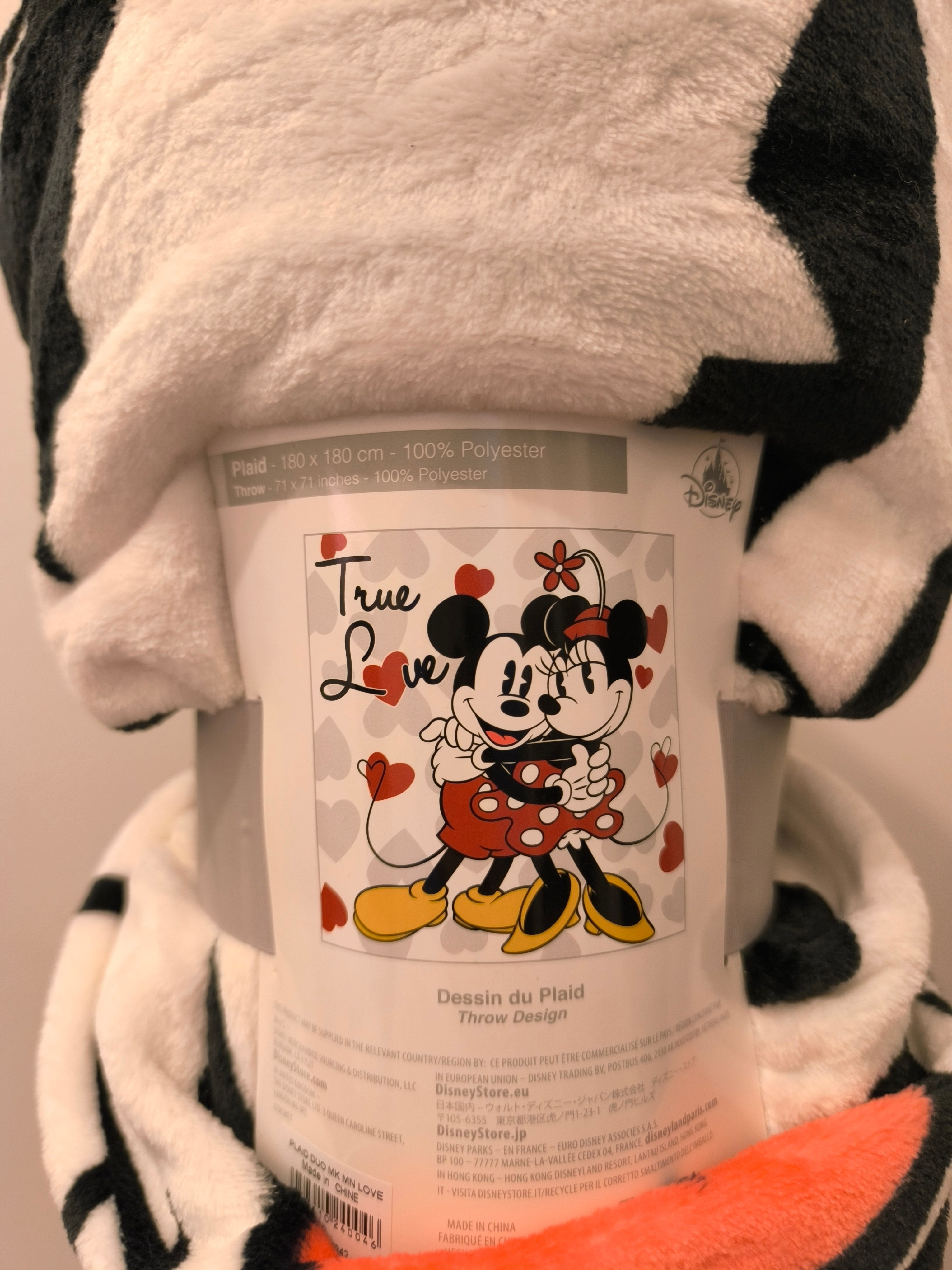 Plaid Mickey Minnie