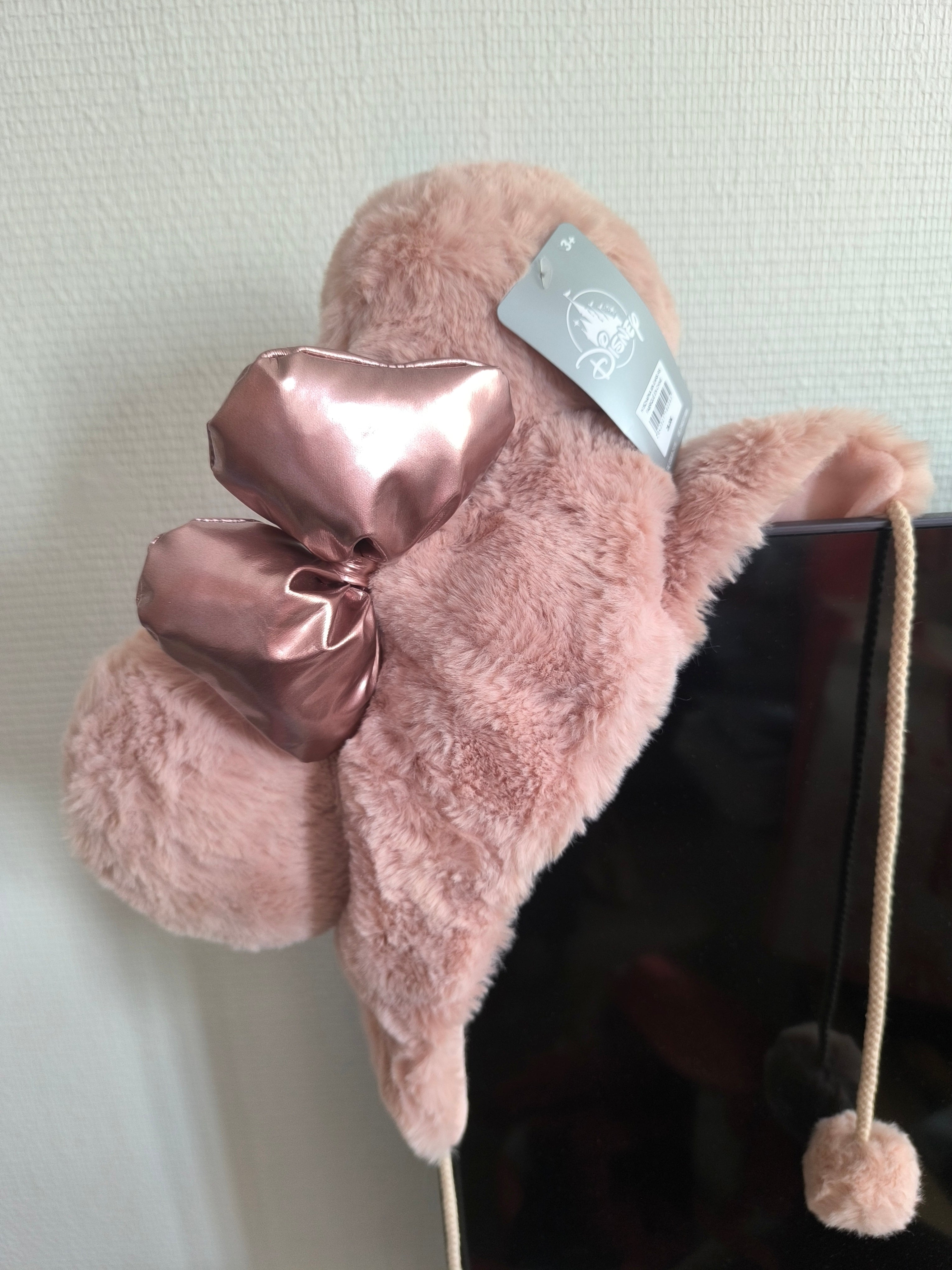 Bonnet Disney