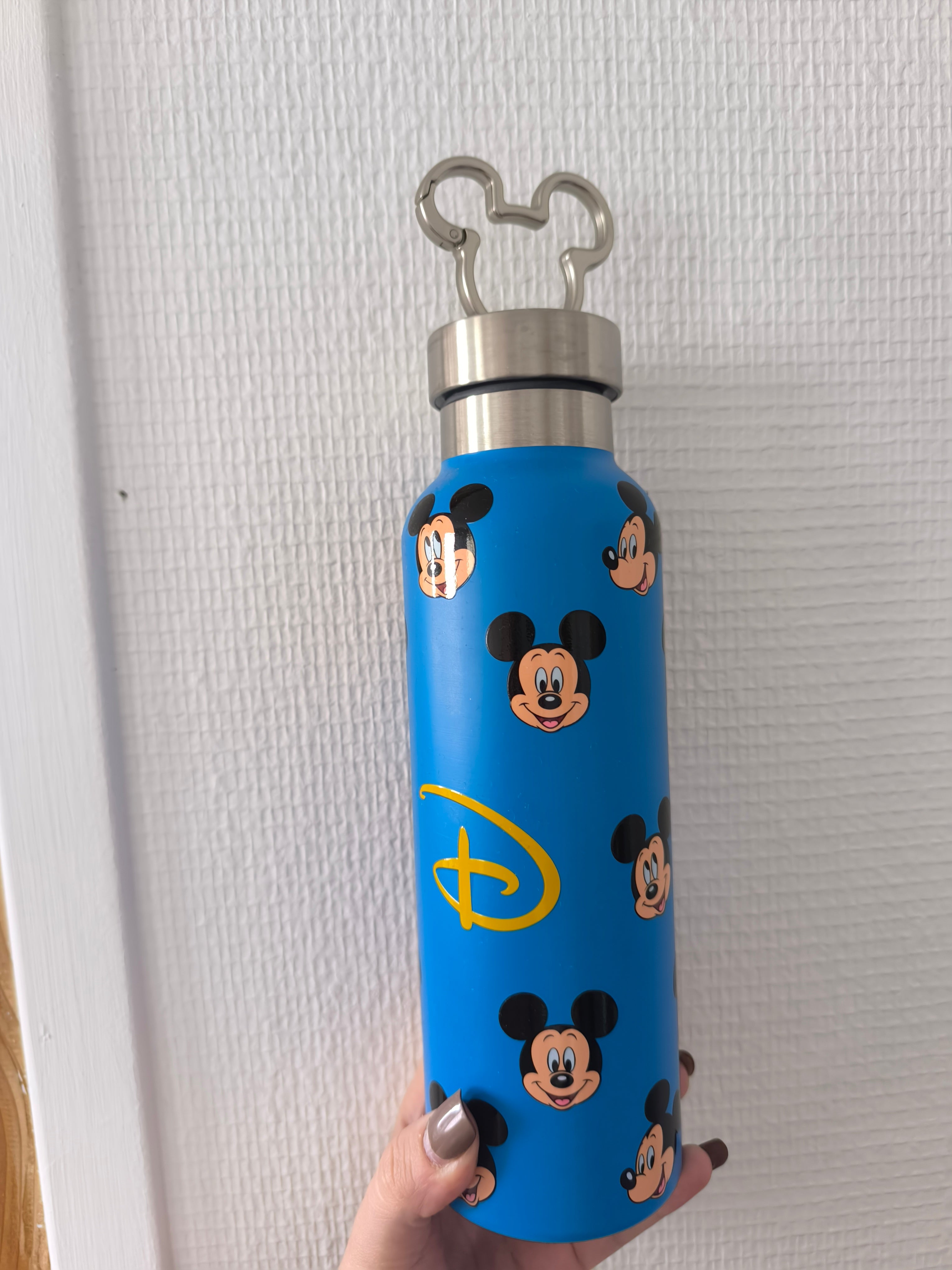 Gourde Mickey