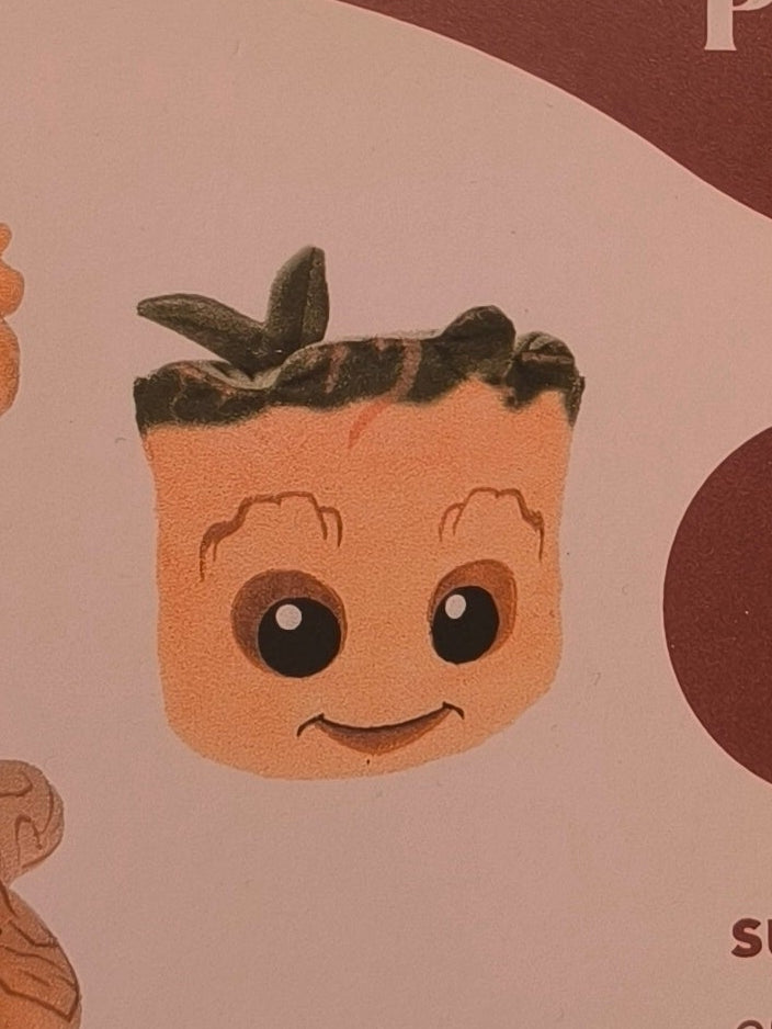 Coussin Groot