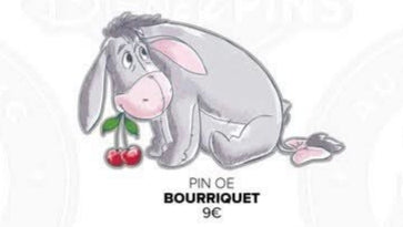 Pins Bourriquet