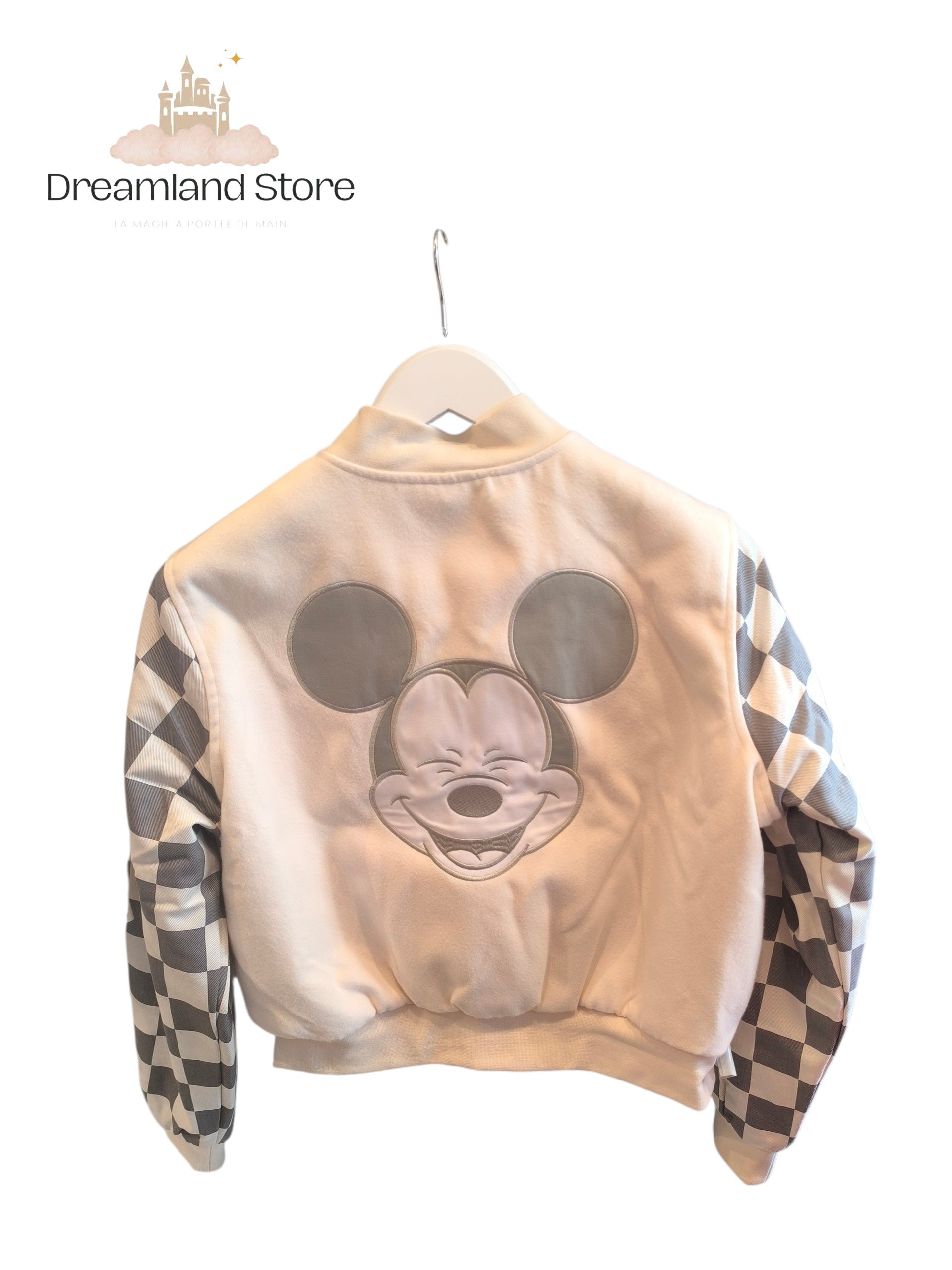 Teddy Mickey
