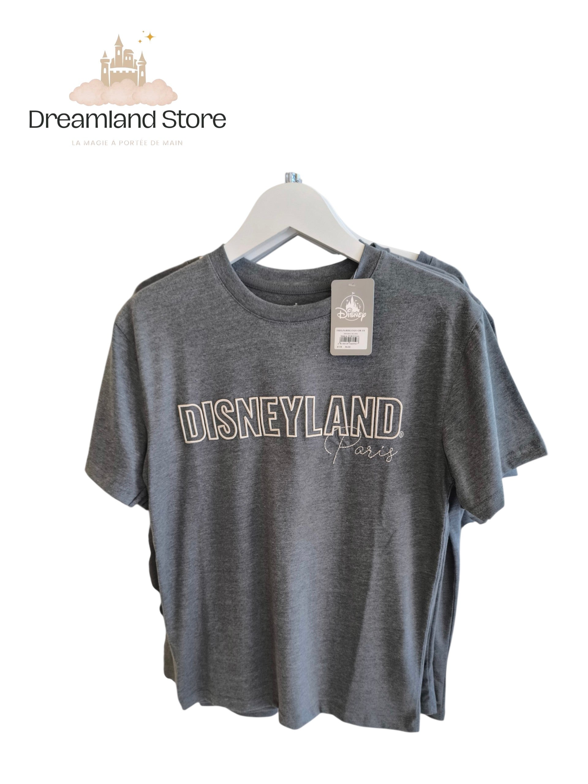 T-shirt gris Disneyland Paris