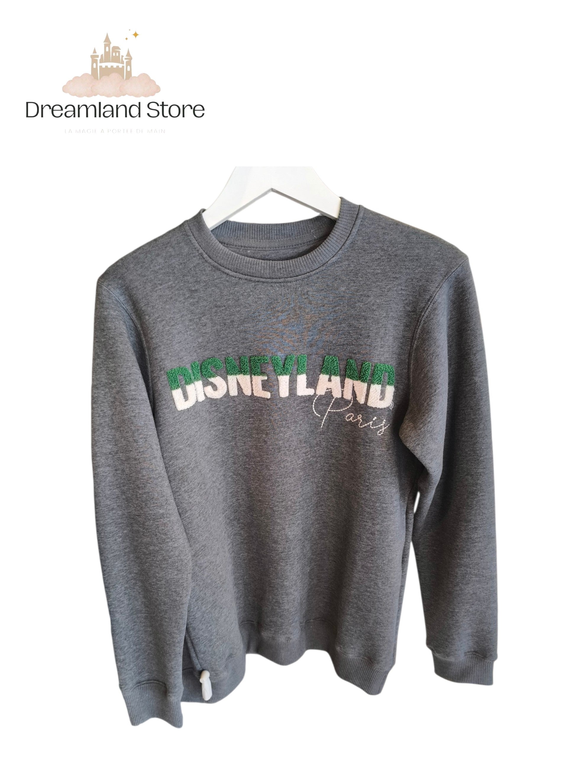 Pull gris Disneyland Paris