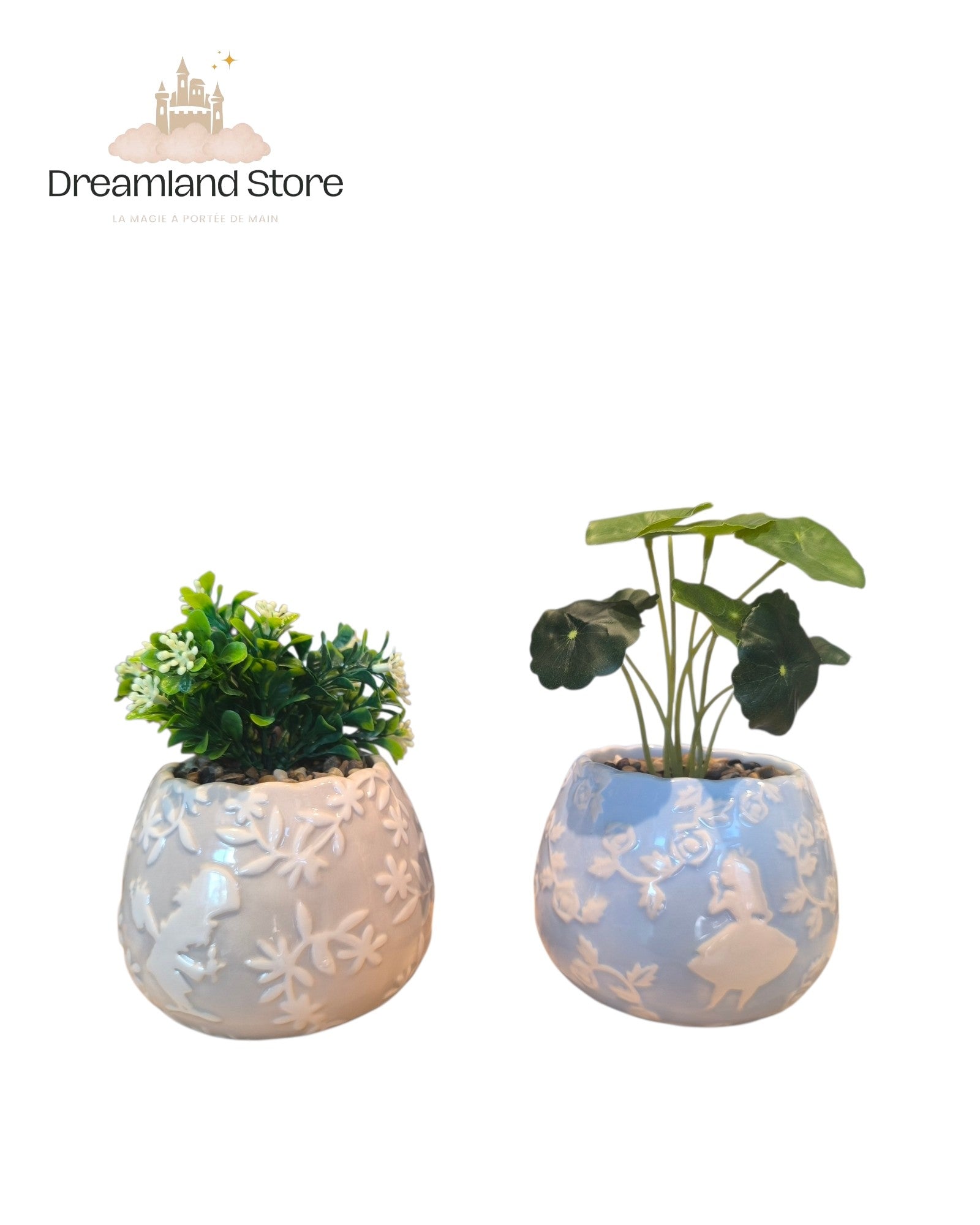 Pot avec plante Alice aux pays des merveilles