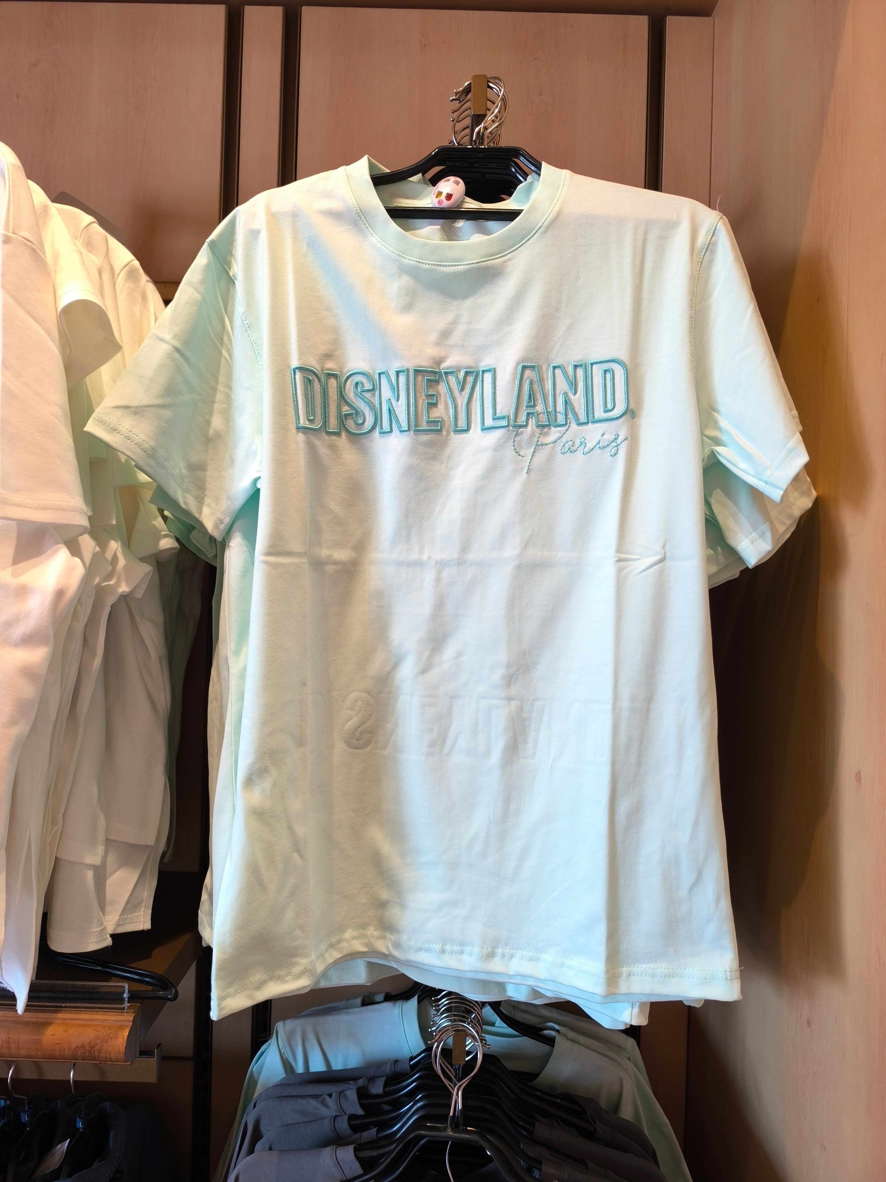 T-shirt Disneyland Paris bleu ciel