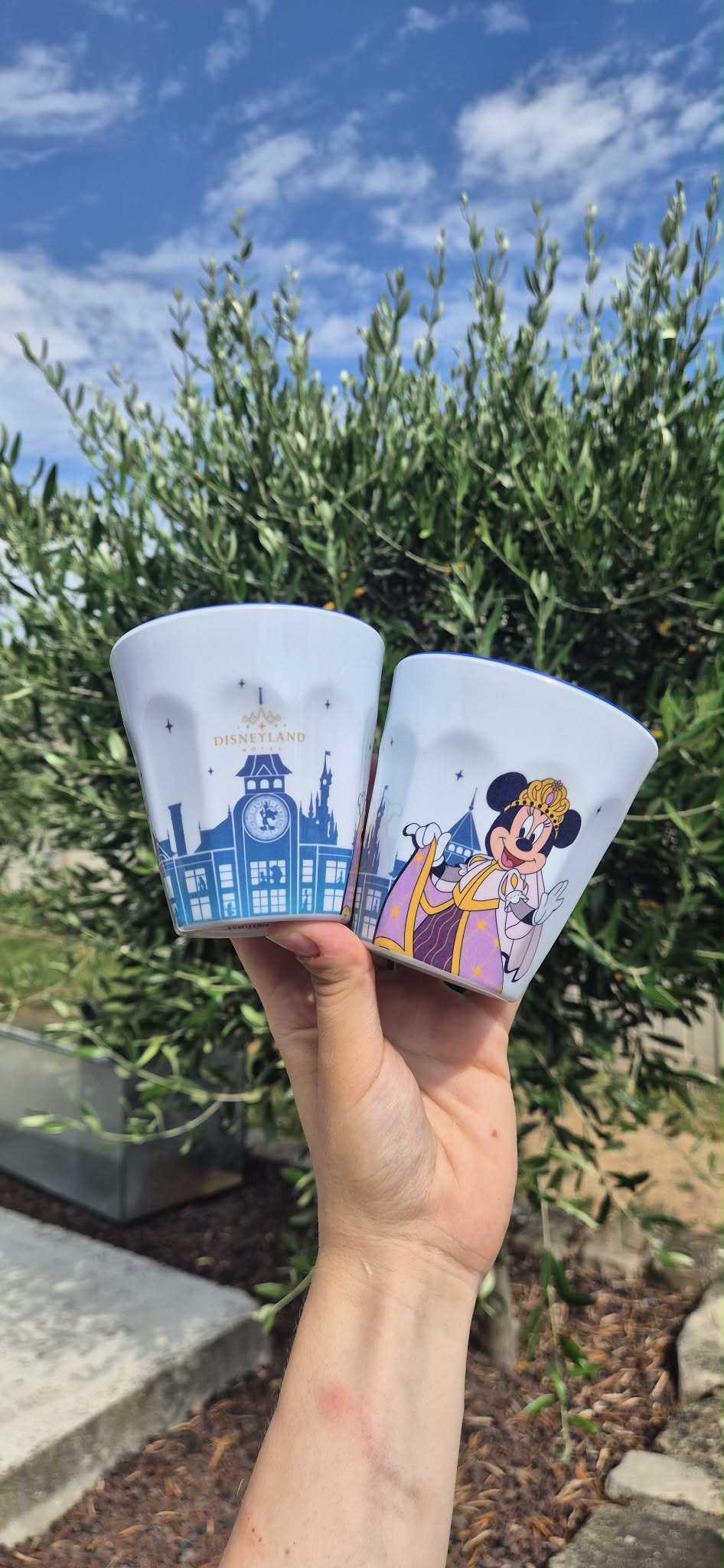 Gobelet Disneyland Hôtel