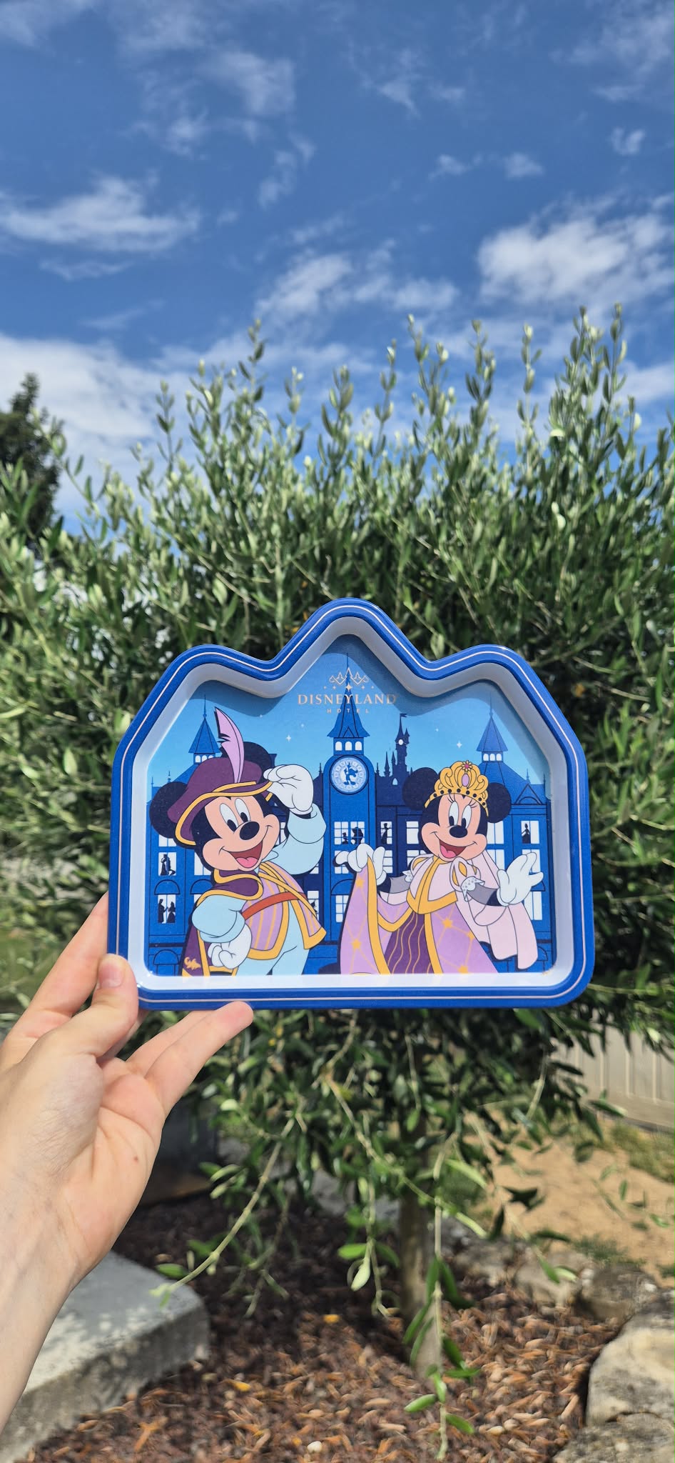 Assiette en plastique Disneyland Hôtel