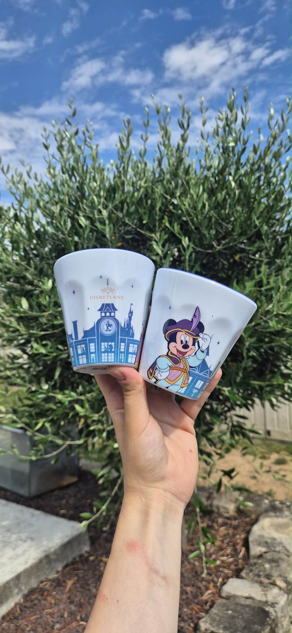 Gobelet Disneyland Hôtel