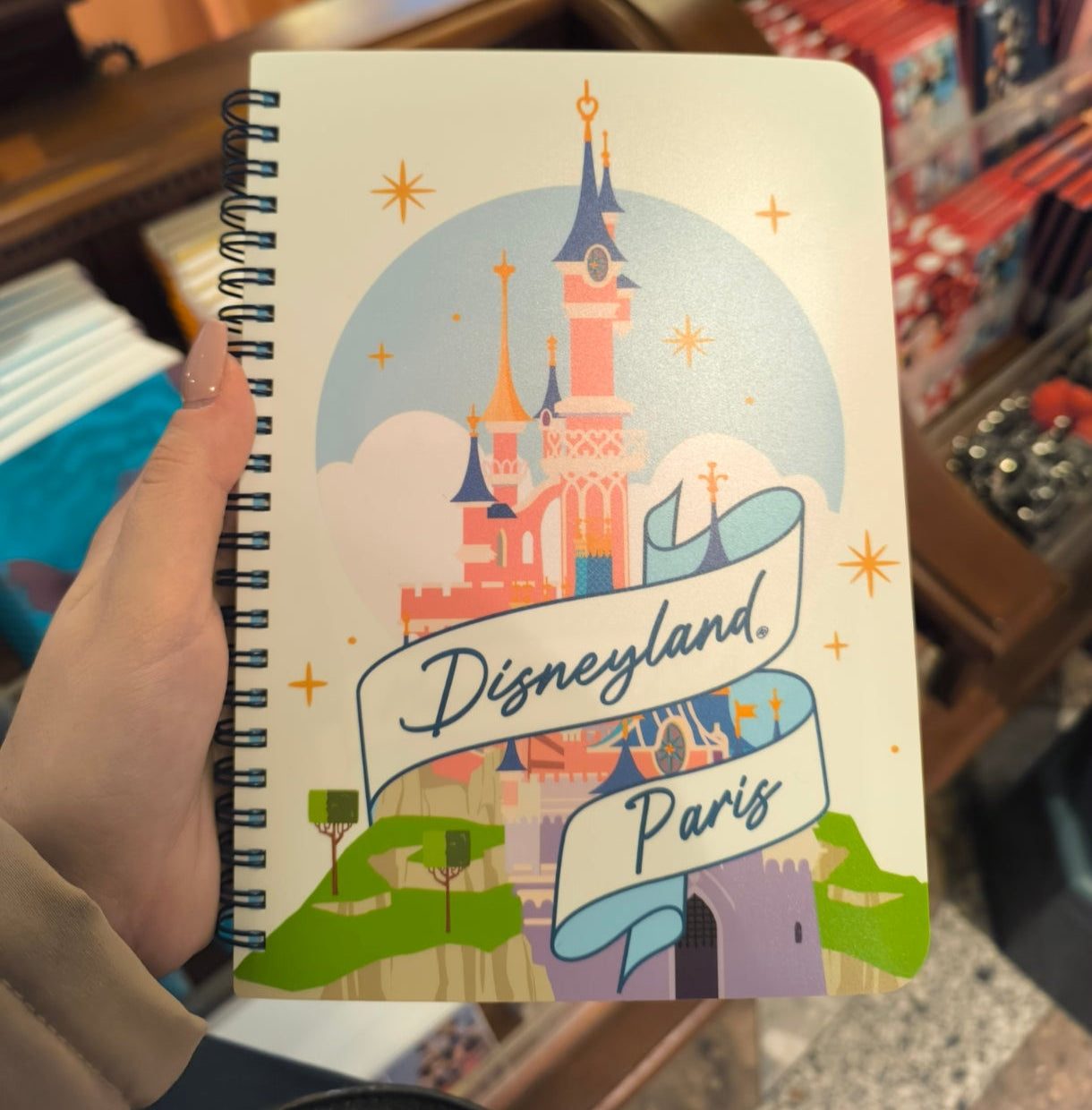 Carnet Disneyland Paris