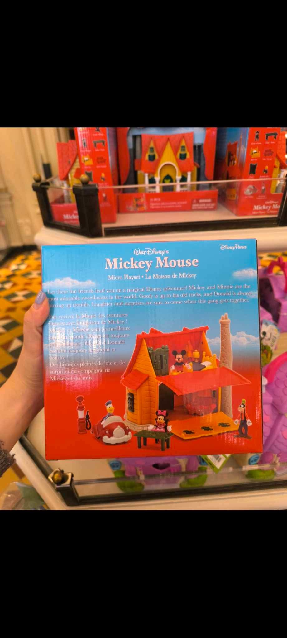 Maison Mickey